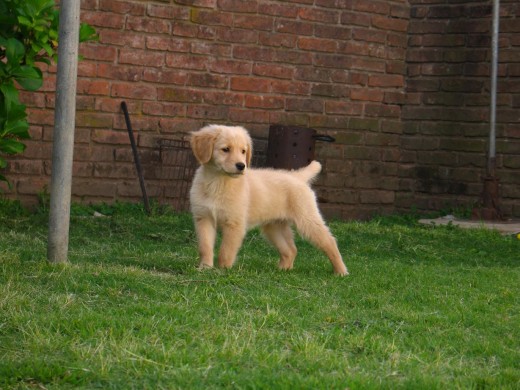 simona que parada!! tenia apenas 2 meses!! hoy con 9